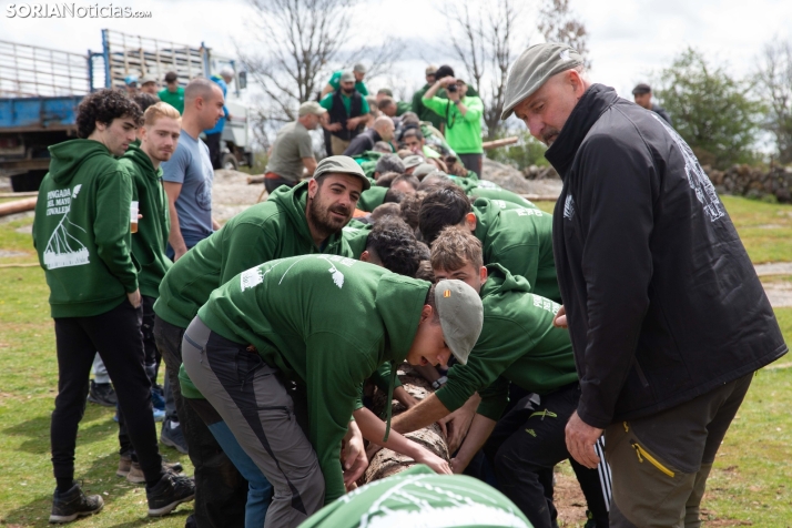 Pingada del Mayo en Covaleda 2025