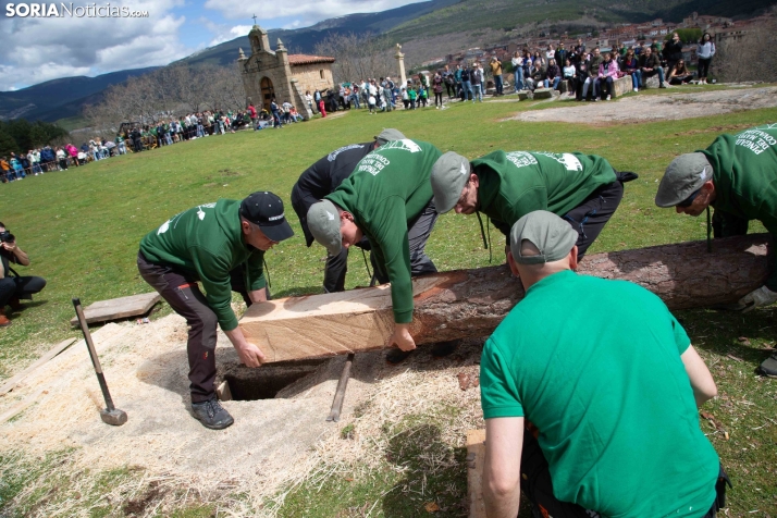 Pingada del Mayo en Covaleda 2025