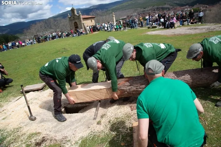 Pingada del Mayo en Covaleda 2025