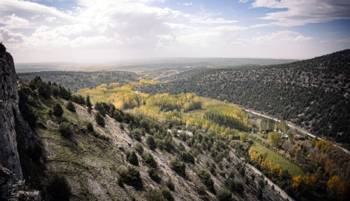 ASFOSO lanza el proyecto Reconecta, con herramientas para revitalizar actividades sostenibles en fincas forest