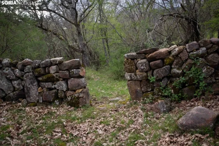 Valle Rio Razón