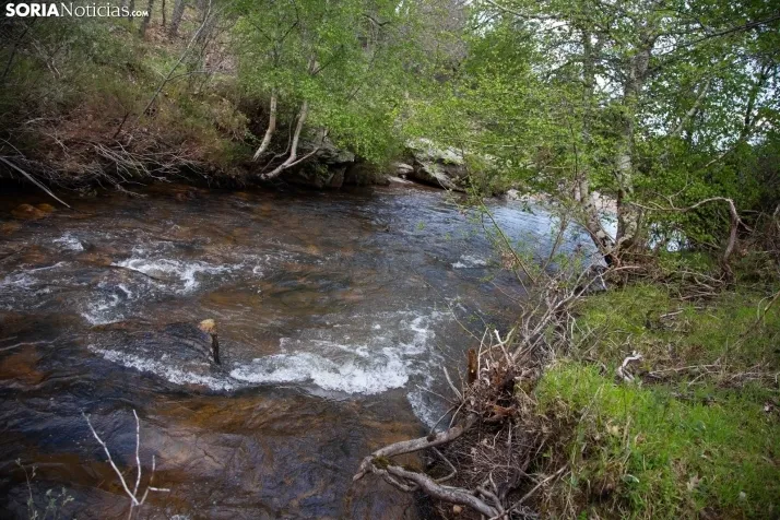 Valle Rio Razón