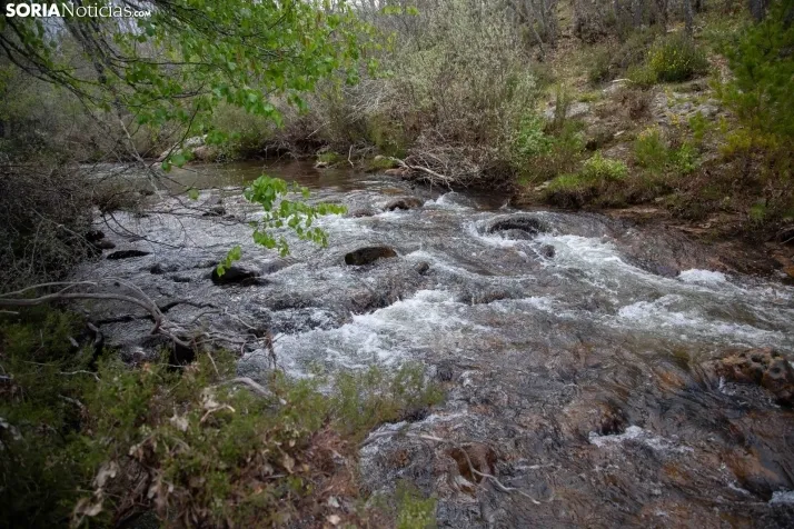 Valle Rio Razón