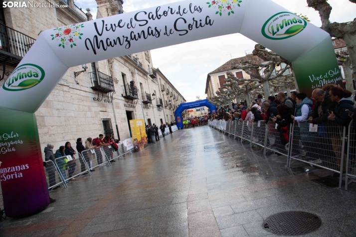 XXIV Media Maratón El Burgo de Osma