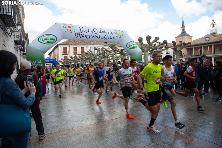 XXIV Media Maratón El Burgo de Osma