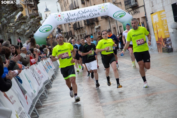 XXIV Media Maratón El Burgo de Osma