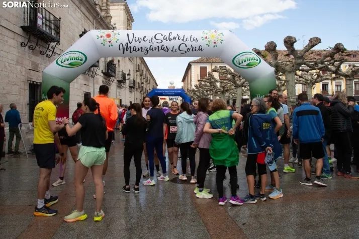 XXIV Media Maratón El Burgo de Osma