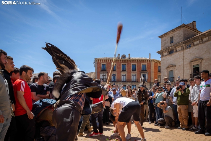 El Zarrón: así ha vibrado Almazán ./Viksar Fotografia