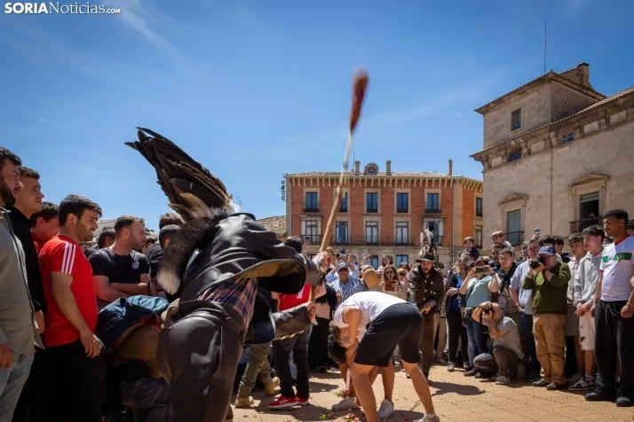 El Zarrón: así ha vibrado Almazán ./Viksar Fotografia