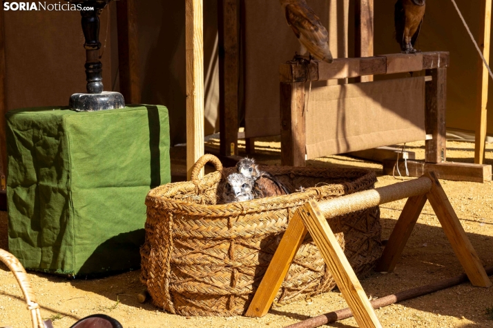 Los Desposorios de Ágreda./ Viksar Fotografía