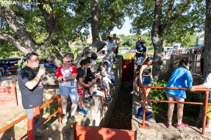 Desencajonamiento en Valonsadero 2025./ Viksar Fotografía