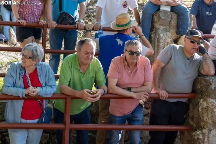 Desencajonamiento en Valonsadero 2025./ Viksar Fotografía