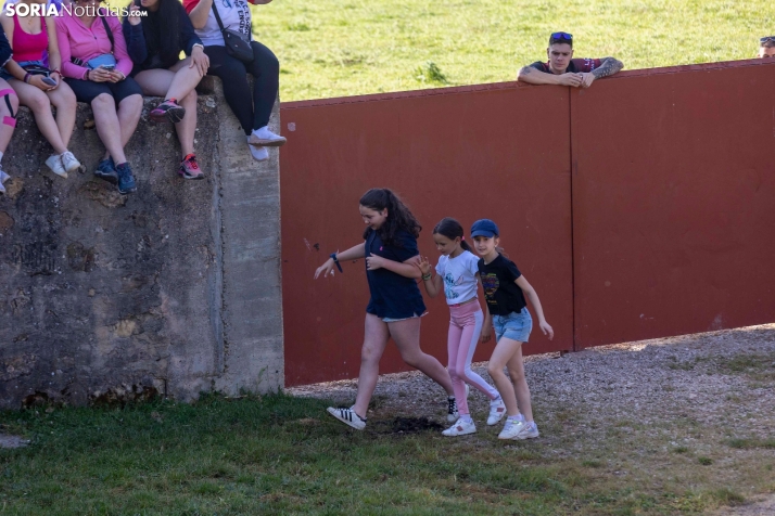 Desencajonamiento en Valonsadero 2025./ Viksar Fotografía