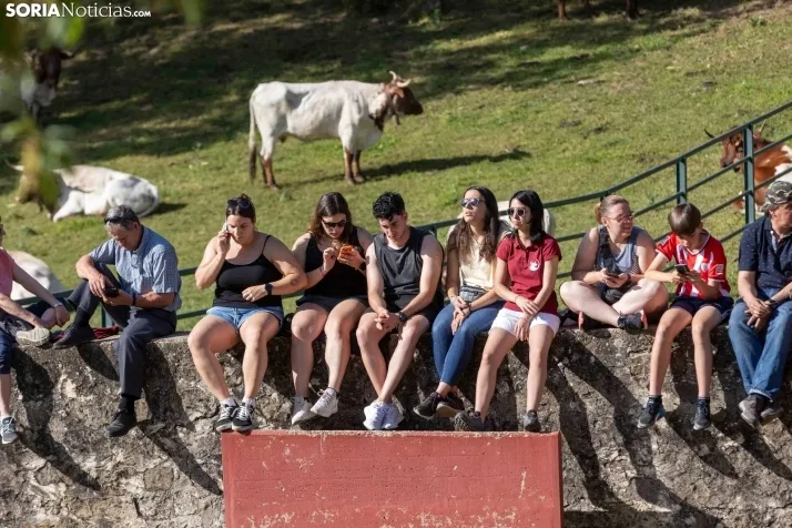 Desencajonamiento en Valonsadero 2025./ Viksar Fotografía