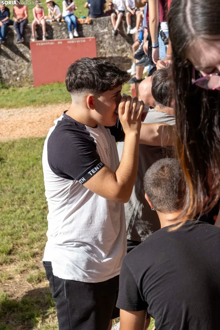 Desencajonamiento en Valonsadero 2025./ Viksar Fotografía