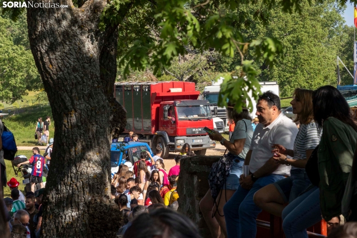 Desencajonamiento en Valonsadero 2025./ Viksar Fotografía