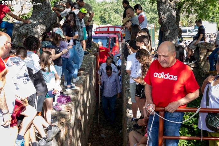 Desencajonamiento en Valonsadero 2025./ Viksar Fotografía