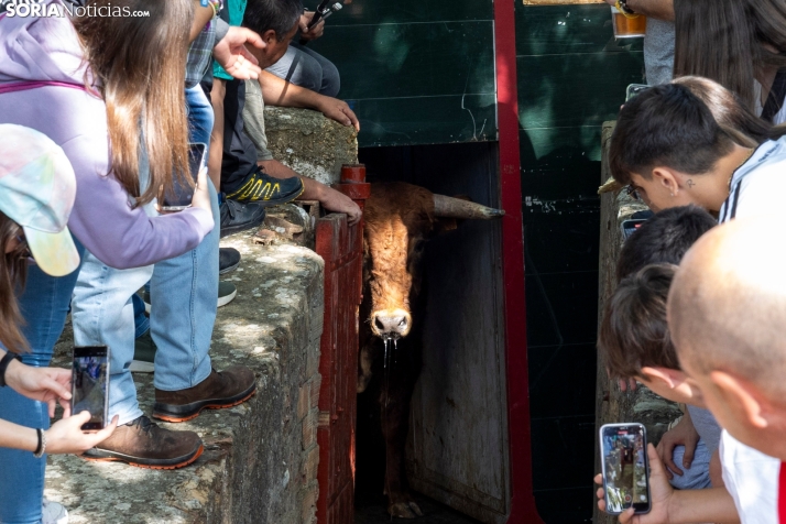 Desencajonamiento en Valonsadero 2025./ Viksar Fotografía