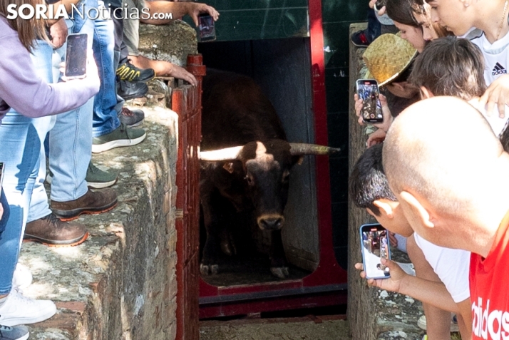 Desencajonamiento en Valonsadero 2025./ Viksar Fotografía