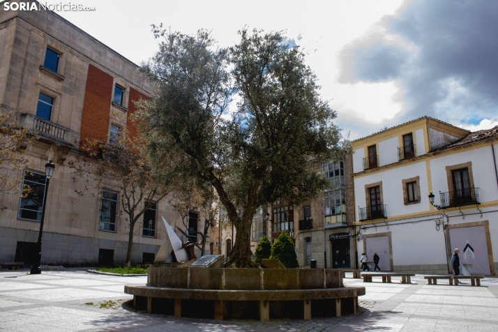 Un paseo fotográfico por el Collado un lunes cualquiera del mes de mayo / Isaac Cosin Gil