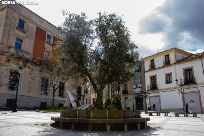 Un paseo fotográfico por el Collado un lunes cualquiera del mes de mayo / Isaac Cosin Gil