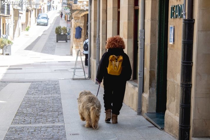Un paseo fotográfico por el Collado un lunes cualquiera del mes de mayo / Isaac Cosin Gil