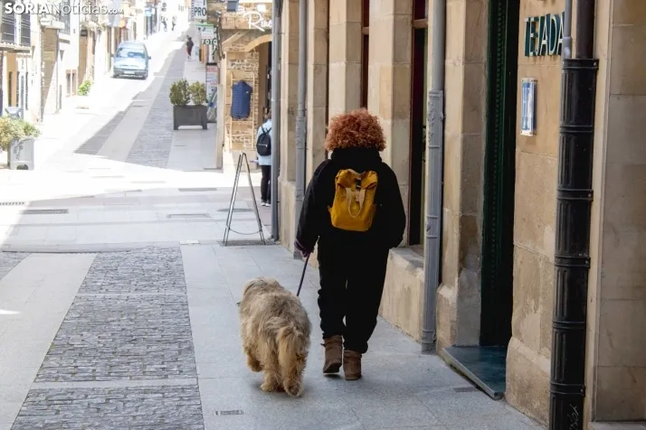 Un paseo fotográfico por el Collado un lunes cualquiera del mes de mayo / Isaac Cosin Gil