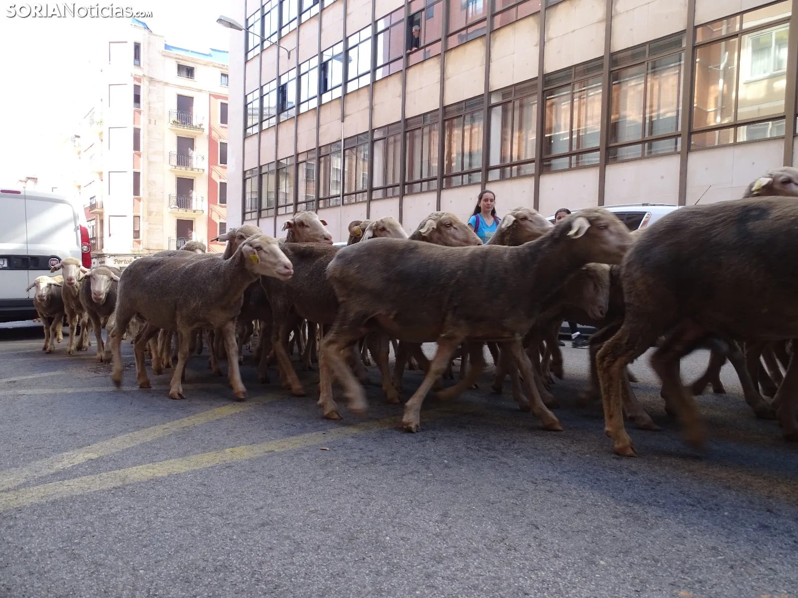 Una imagen del paso de las merinas por la capital. /PC