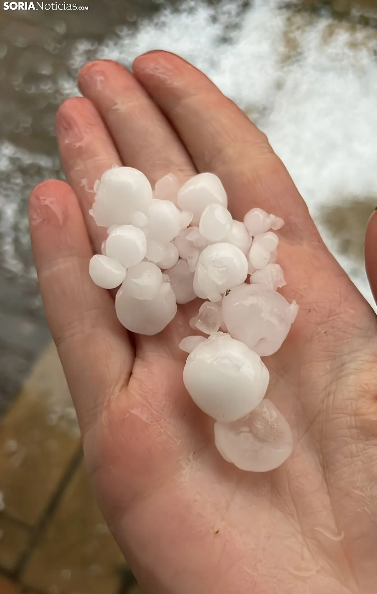 Una imagen de la granizada de este miércoles. /SN