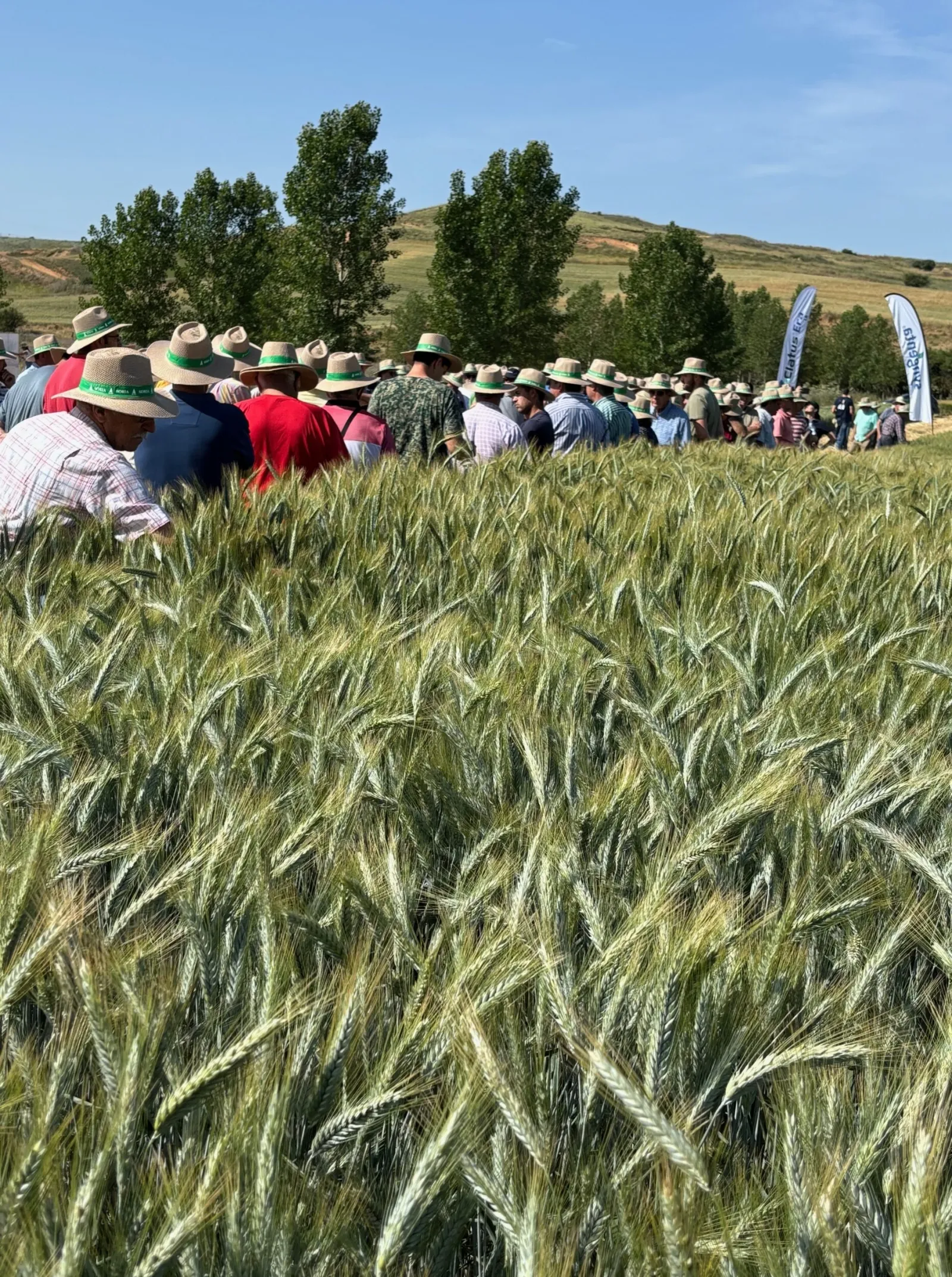 Foto 7 - Nueva visita a los campos de ensayo de ASAJA: La organizaci&oacute;n agraria pide "legalizaci&oacute;n total" para el uso de drones