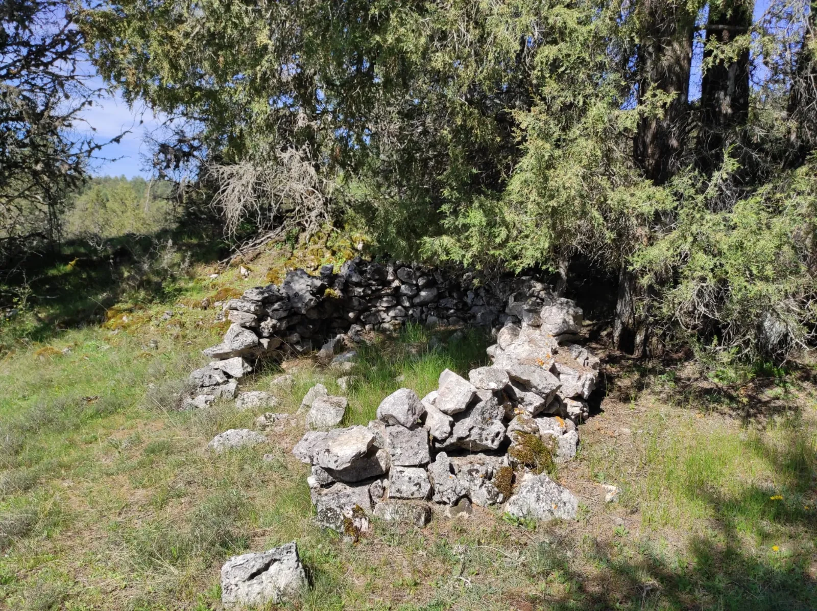 Foto 2 - No solo hubo templarios en el Ca&ntilde;&oacute;n del R&iacute;o Lobos: los secretos del Castillo Billido