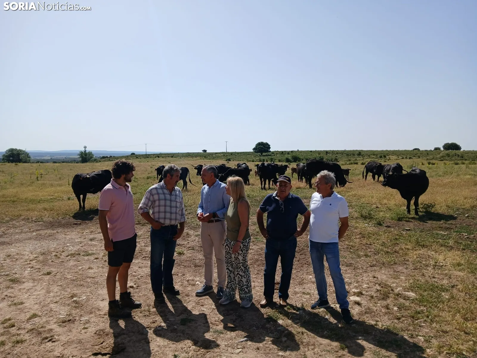 Foto 2 - La Junta muestra su apoyo a la vaca serrana negra con una visita a una explotaci&oacute;n en La Muela