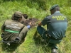 Foto 2 - Agentes medioambientales de la Junta localizan sin vida a un oso pardo en la Montaña Palentina
