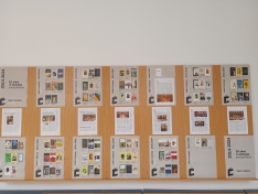 Una de las actividades desarrolladas por el colectivo este curso. /ABO