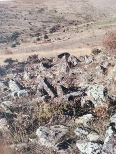 Foto 5 - Almarza viaja a los or&iacute;genes celtas: llega la expoci&oacute;n &lsquo;Cultura Castre&ntilde;a Soriana&rsquo;