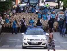 Una imagen del paso de las merinas por la capital. /PC