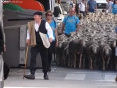 Una imagen del paso de las merinas por la capital. /PC