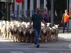 Una imagen del paso de las merinas por la capital. /PC