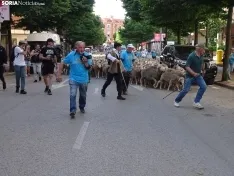 Una imagen del paso de las merinas por la capital. /PC