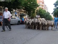 Una imagen del paso de las merinas por la capital. /PC