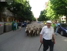 Una imagen del paso de las merinas por la capital. /PC