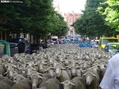 Una imagen del paso de las merinas por la capital. /PC