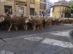 Una imagen del paso de las merinas por la capital. /PC