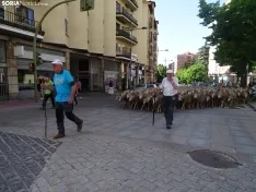Una imagen del paso de las merinas por la capital. /PC