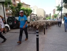Una imagen del paso de las merinas por la capital. /PC