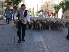 Una imagen del paso de las merinas por la capital. /PC