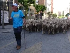 Una imagen del paso de las merinas por la capital. /PC