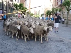 Una imagen del paso de las merinas por la capital. /PC