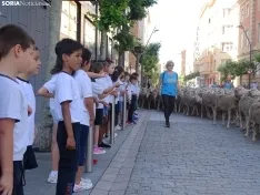 Una imagen del paso de las merinas por la capital. /PC