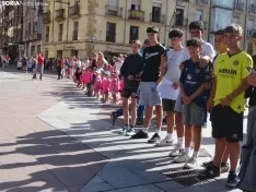 Una imagen del paso de las merinas por la capital. /PC